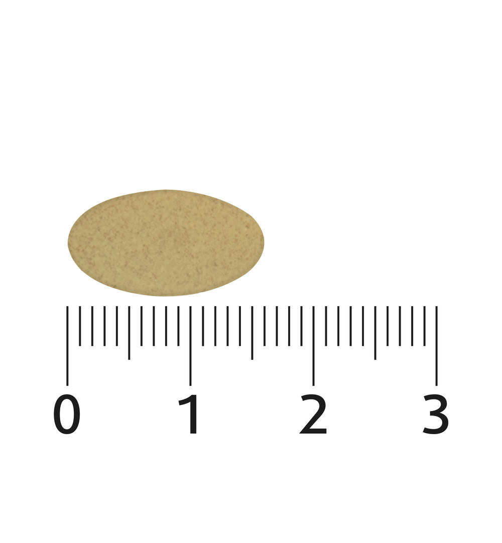 Lucovitaal Sterk IJzer Complex (60 tabletten) - image 2