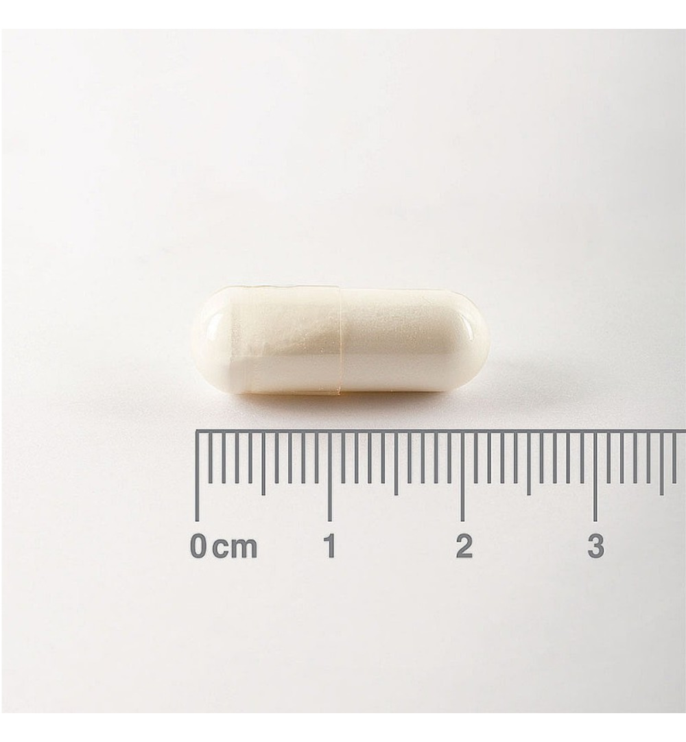 Lamberts L-Glutamine 500mg (90 vega capsules) - image 2