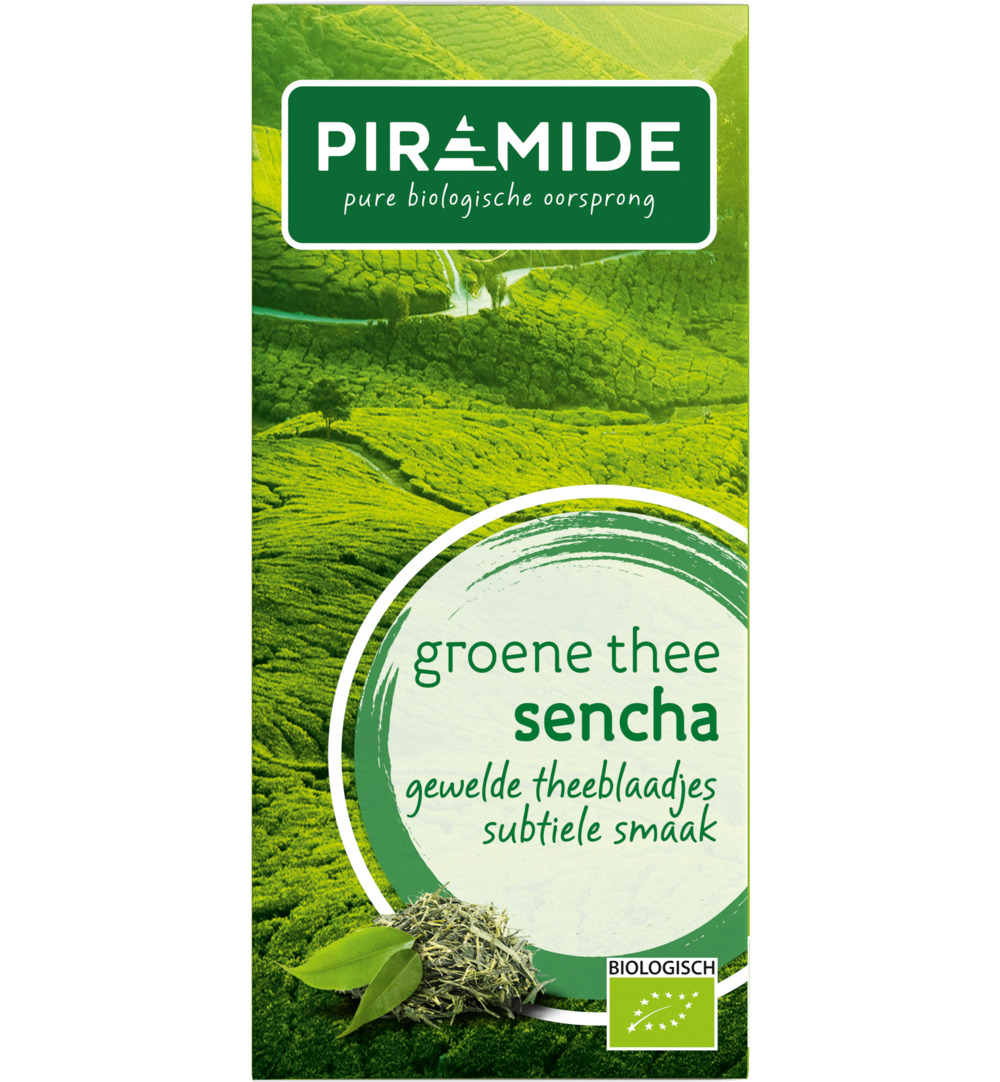 Piramidegroene Thee Sencha Eko Bio (20 stuks)