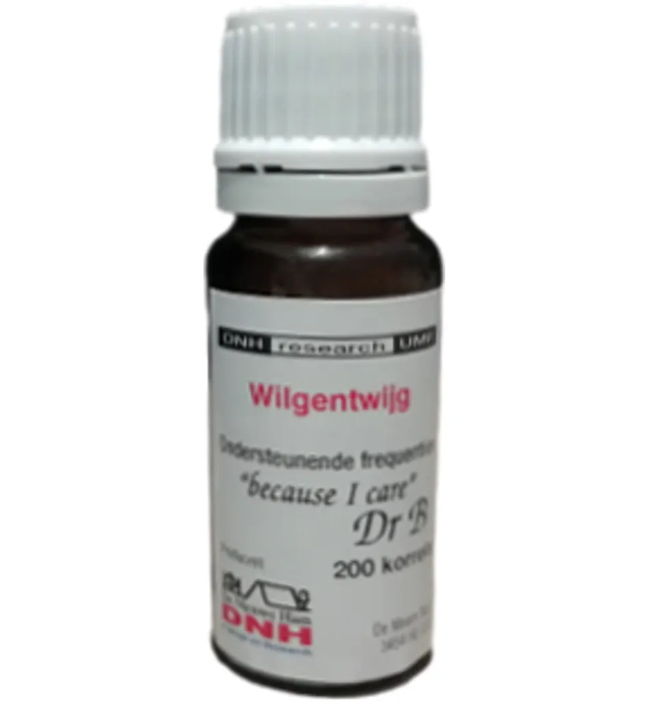 Dnh Wilgentwijg (200 stuks)