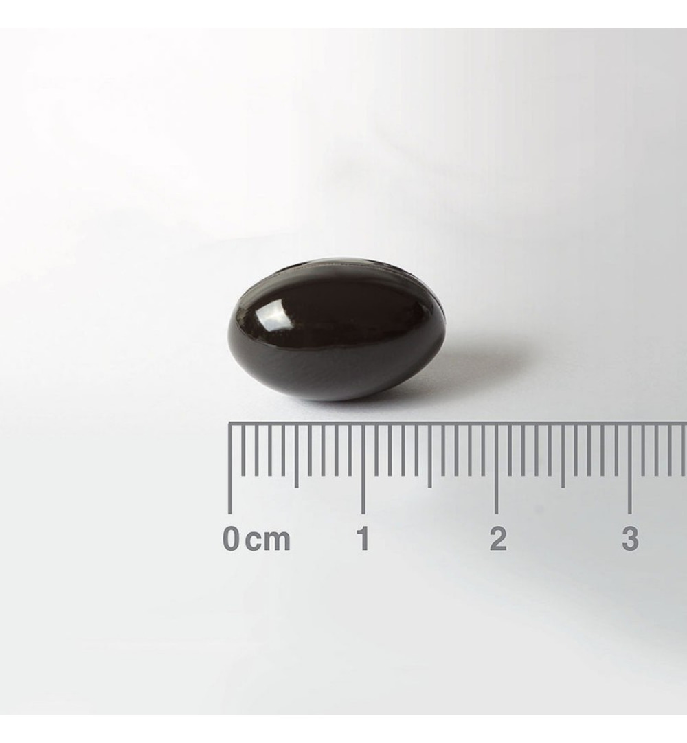 Lamberts Pulse (90 capsules) - image 2