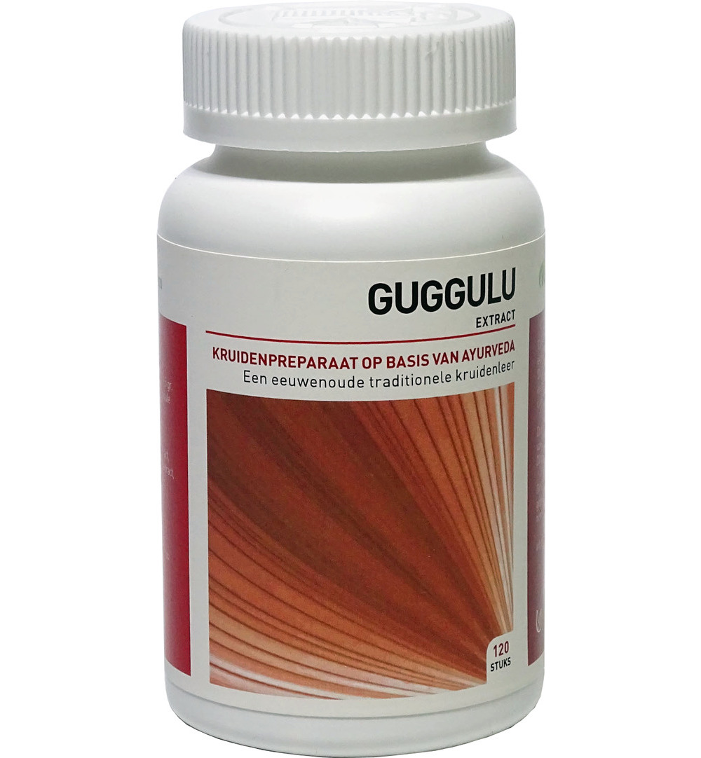 Ayurveda Health Guggulu (120 tabletten)
