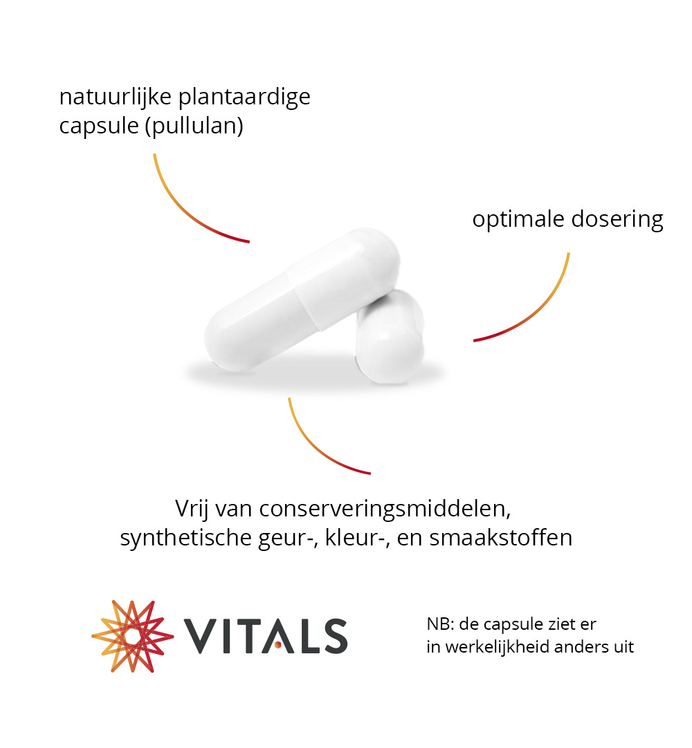 Vitals Berberine 500 mg (60 capsules) - image 5