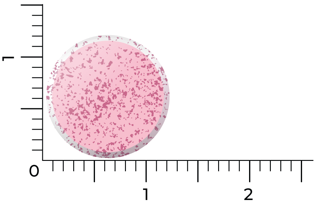 Vitakruid B12 Combi 6.000® Met Actief Folaat Vitamine (60 Smelttabletten) - image 3