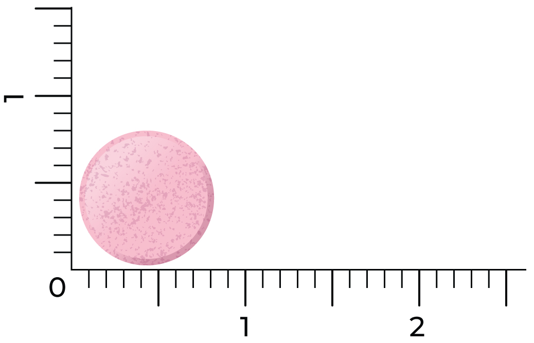 Vitakruid B12 Forte Plus® 3.000 Met P-5-P Vitamine (60 tabletten) - image 3