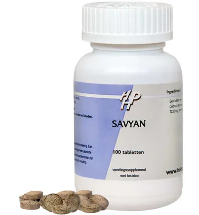 Ayurveda Savyan (100 tabletten)
