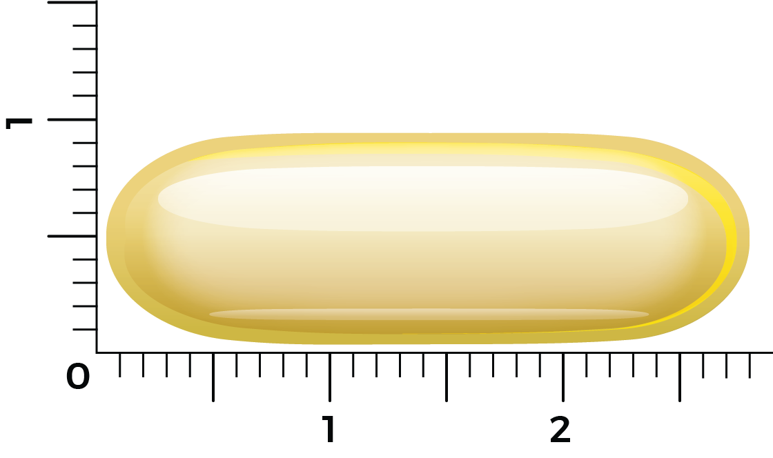 Vitakruid Borage Olie 1500Mg Gla 300Mg Uit Plantaardige Bron (60 softgels) - image 4