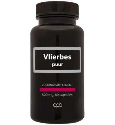APB Holland Vlierbes/sambucus nigra 500mg puur (60 vega capsules)