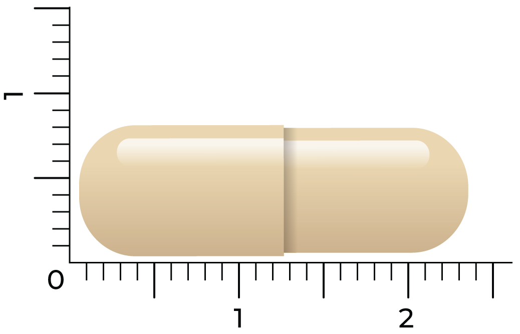 Vitakruid Dim Builder 400 Mg Broccolikiem Extract Hiactives® (60 vega capsules) - image 4