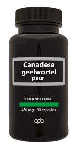 APB Holland Canadese geelwortel 480mg puur (90 capsules)