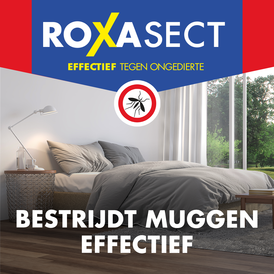 Roxasect Anti mug stekker actieverpakking 2 navulverpakking (1 stuk)