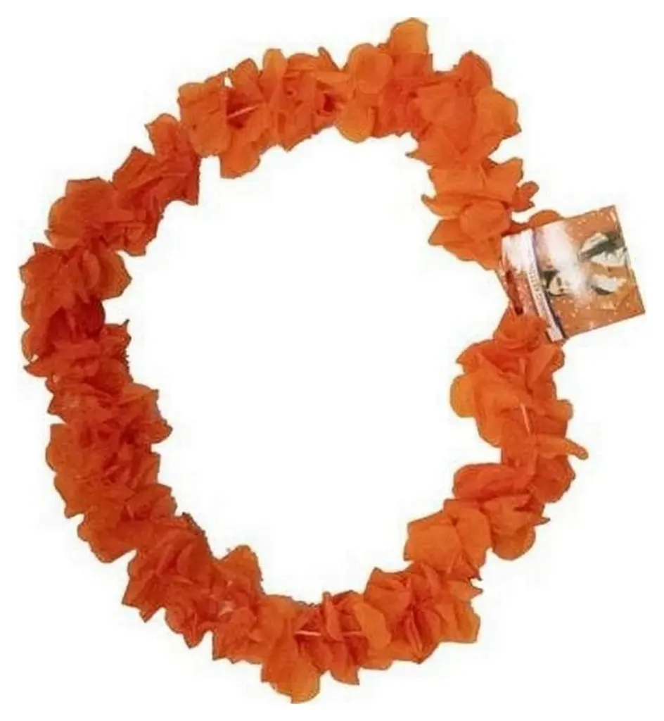Hup Holland Hup Hawaii Ketting (1 stuk)