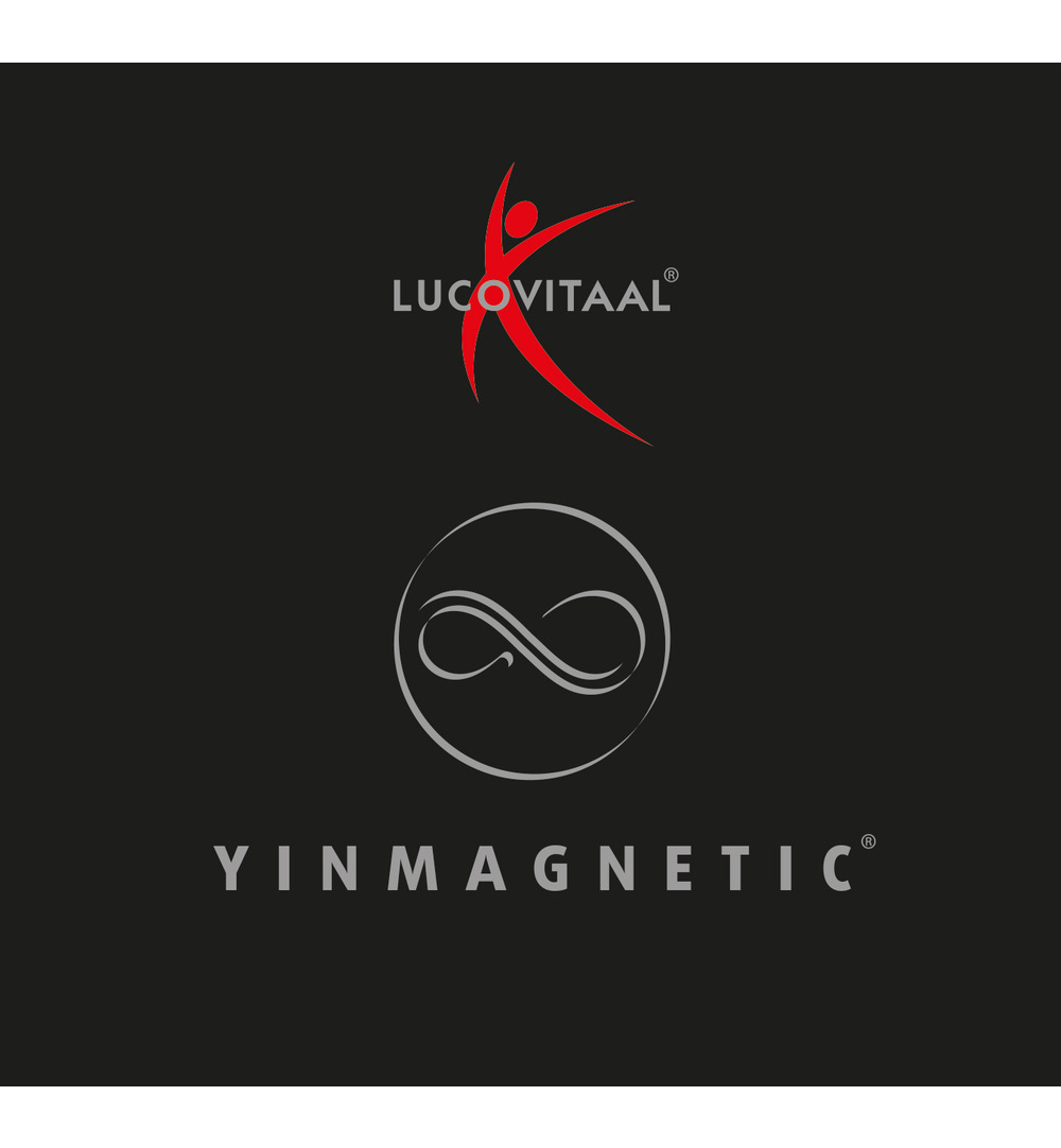 Lucovitaal Magneet Armband Goud (1 stuk) - image 3