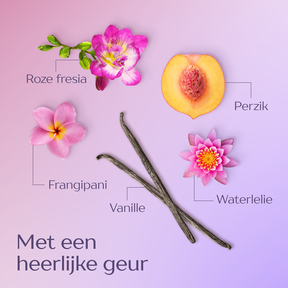 Andrelon Shampoo Levendig Lang (250 ml) - image 4