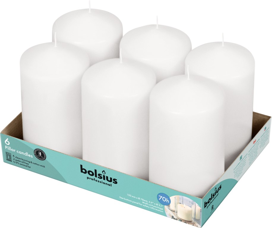 Bolsius Horeca Stompkaarsen 15/8 Wit (6 stuks)