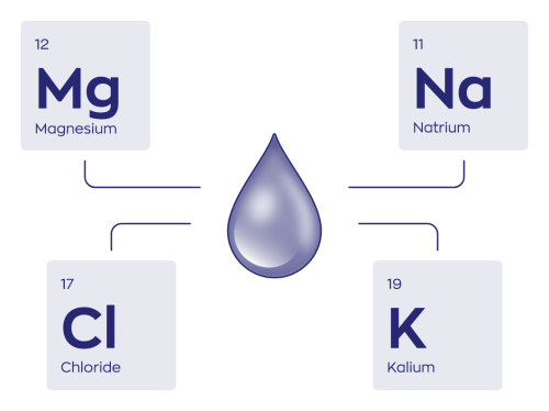 Vitakruid Elite Post Workout Man Bcaa 4:1:1 & Elektrolyten (360 gr) - image 7