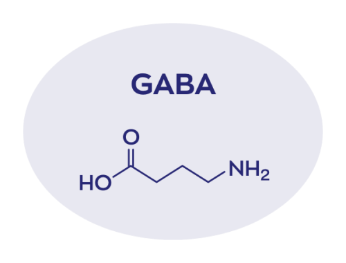 Vitakruid Elite Post Workout Man Bcaa 4:1:1 & Elektrolyten (360 gr) - image 8