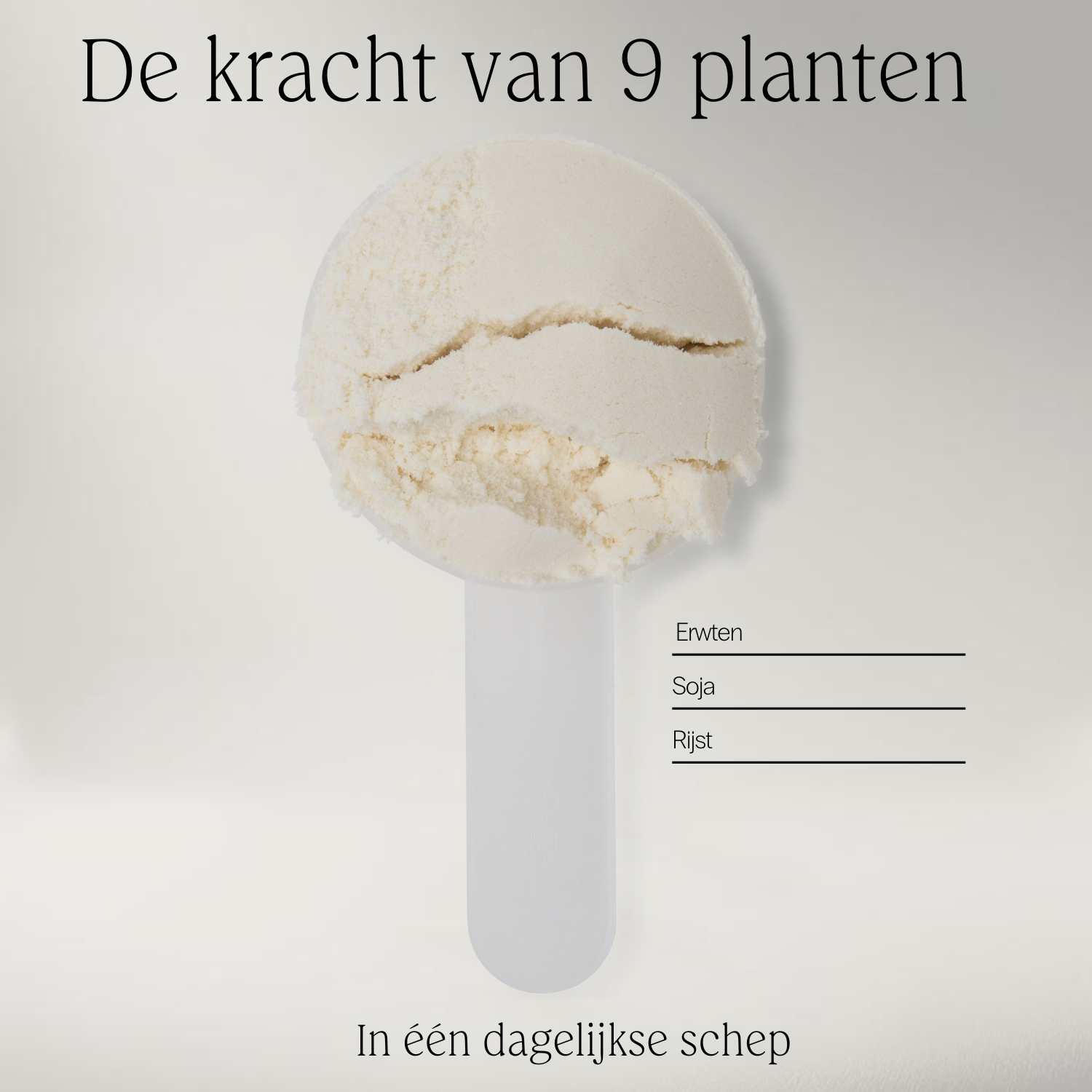 Boom Nutritions Protein Powder Vanille Vegan (750 gr) - image 4