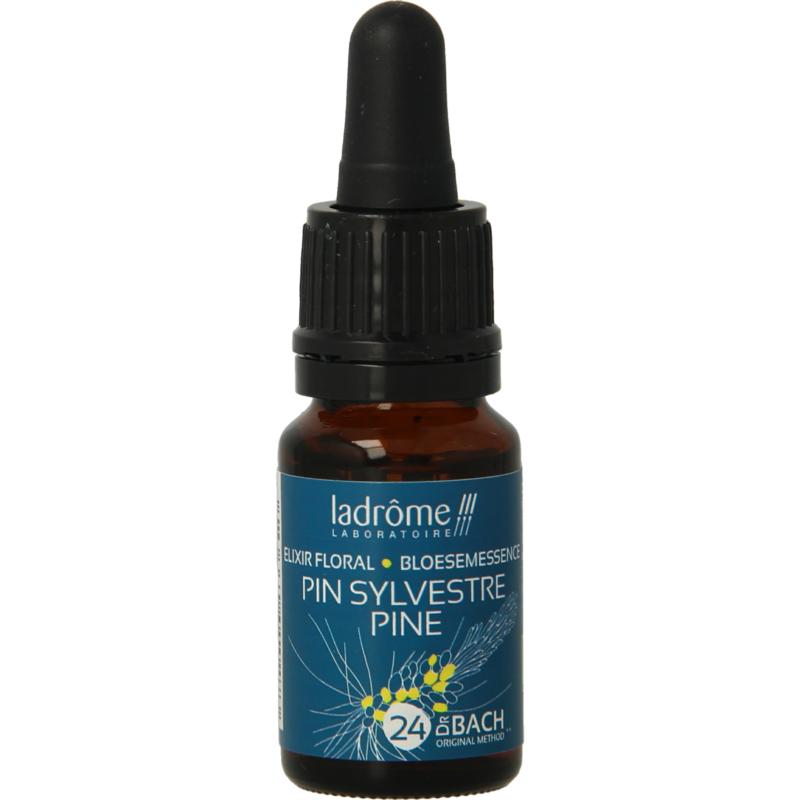 Ladrôme Pine / Den 24 Bio (10 ml)