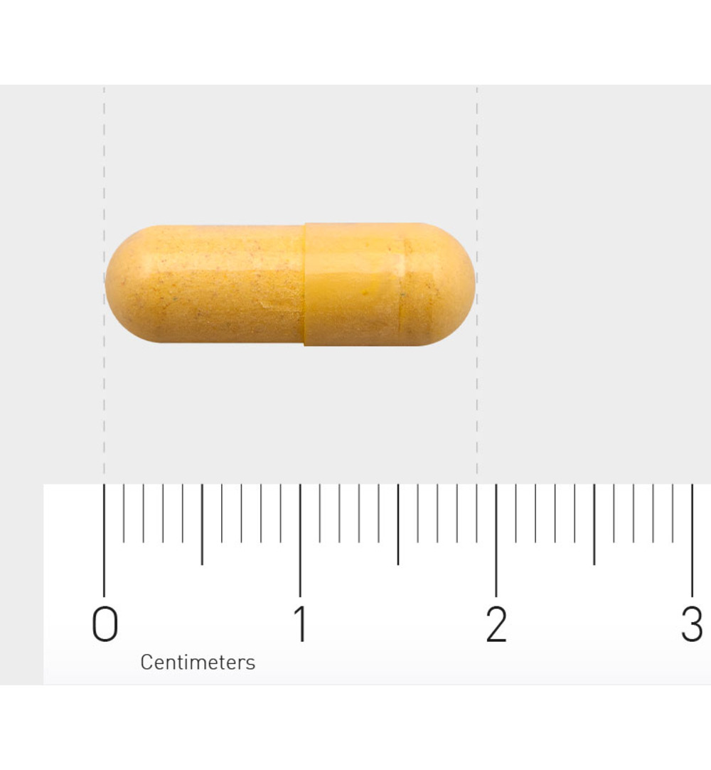 Orthica B2-50 (90 capsules) - image 3