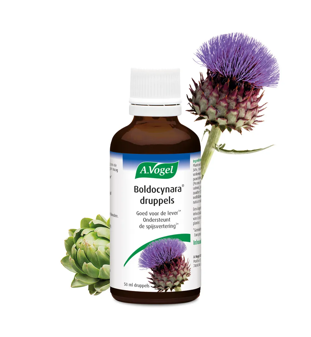 A.Vogel Boldocynara druppels (50 ml)