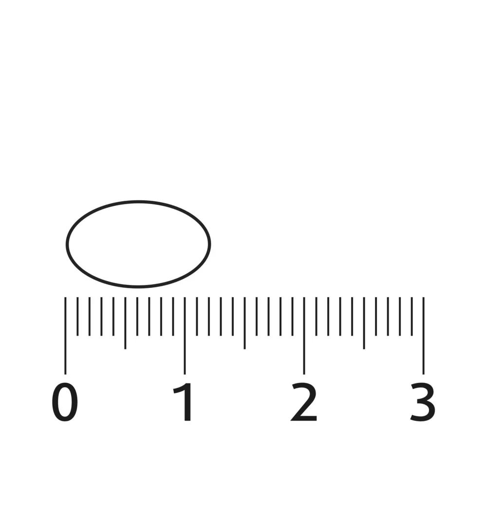 Lucovitaal Vegan Omega-3 Microalgen (60 capsules) - image 3