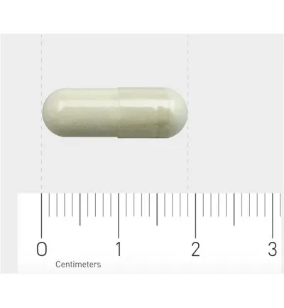 Aov 1129 Plant-Enzym (60 vega capsules) - image 3