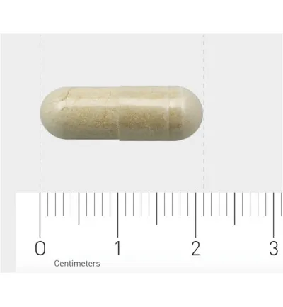 Aov 833 Vitex Agnus Castus (60 vega capsules) - image 3