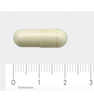 Aov 1105 Collageen Type Ii (90 vega capsules) - image 3