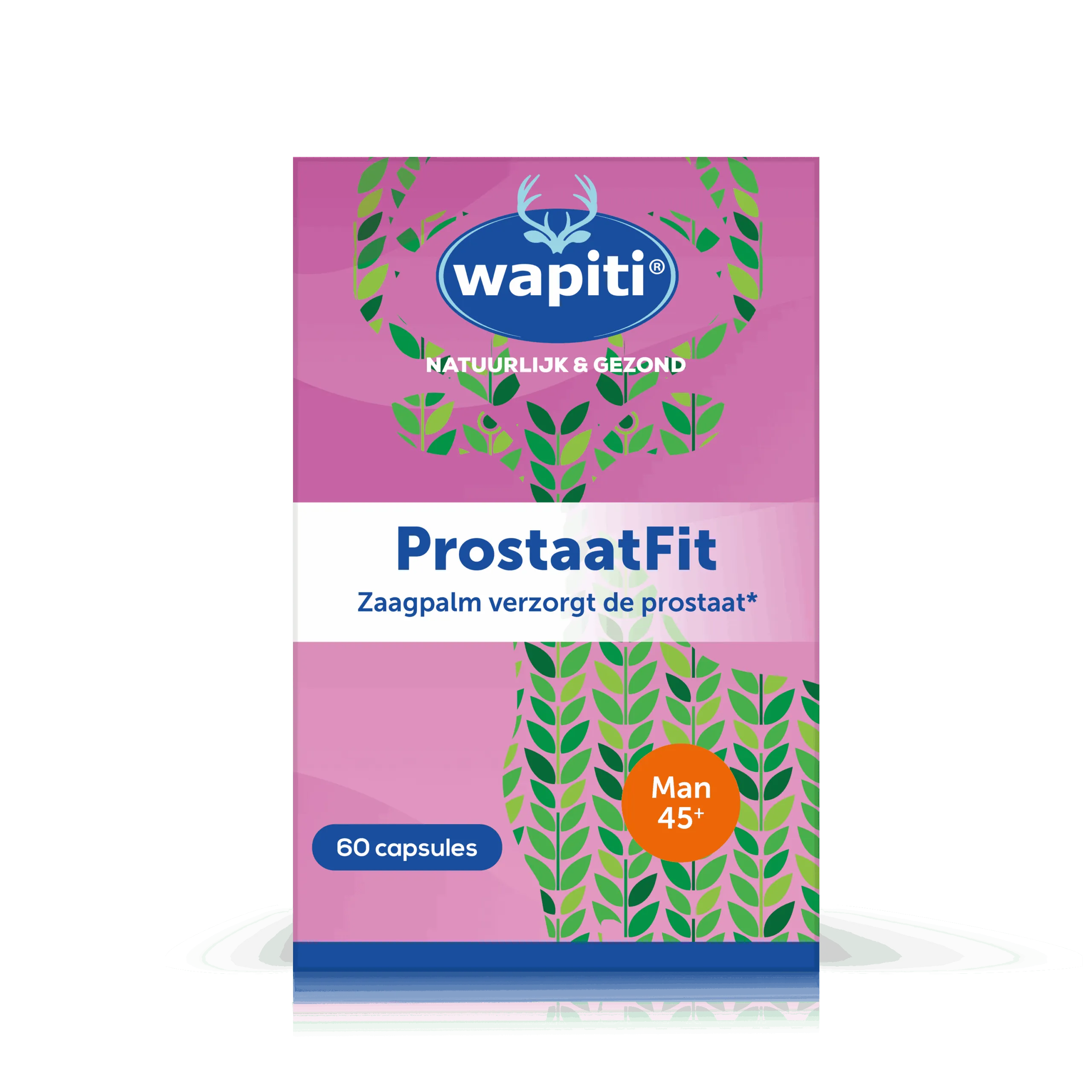 Wapiti Prostaat fit (60 capsules)