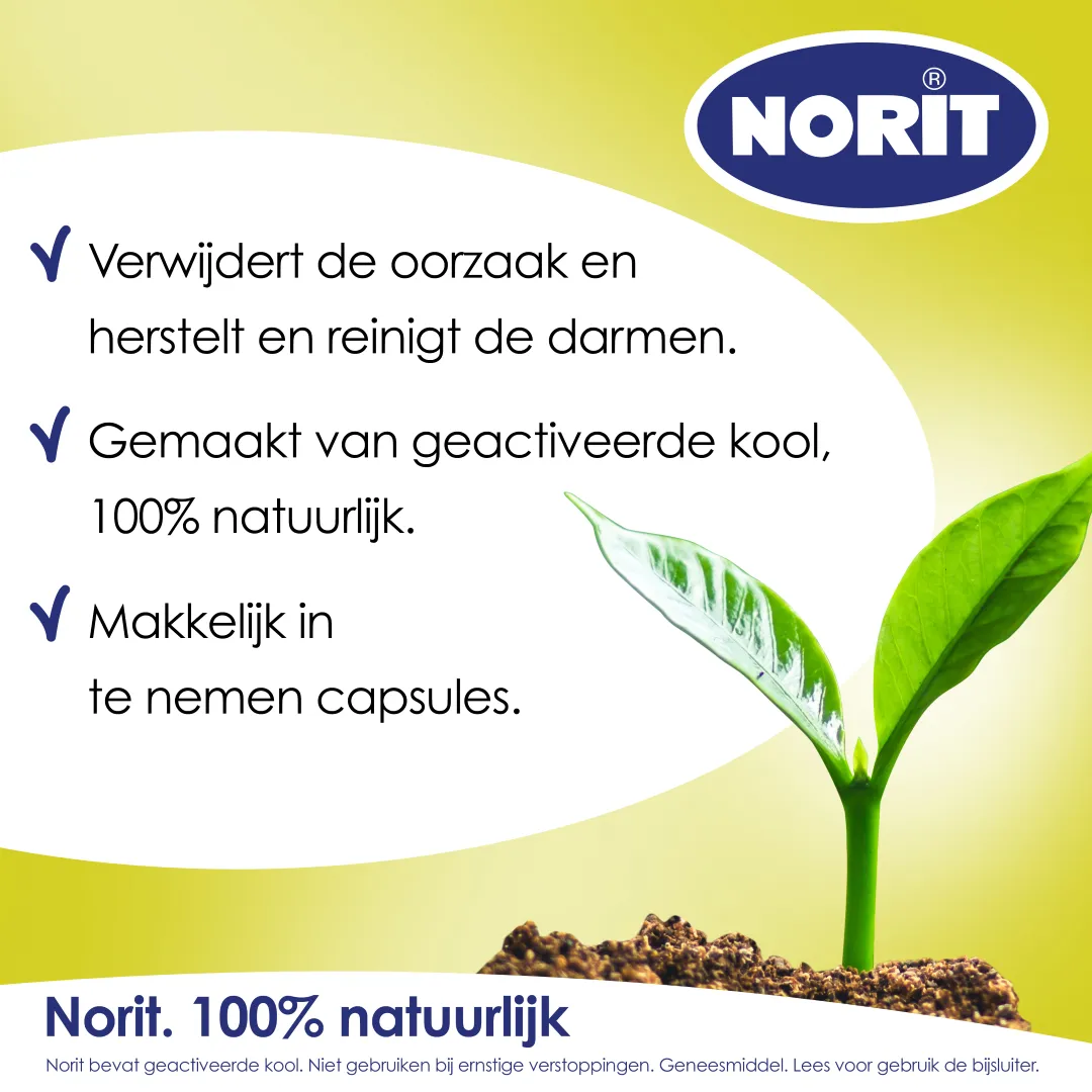 Norit 200mg (30 capsules) - image 2