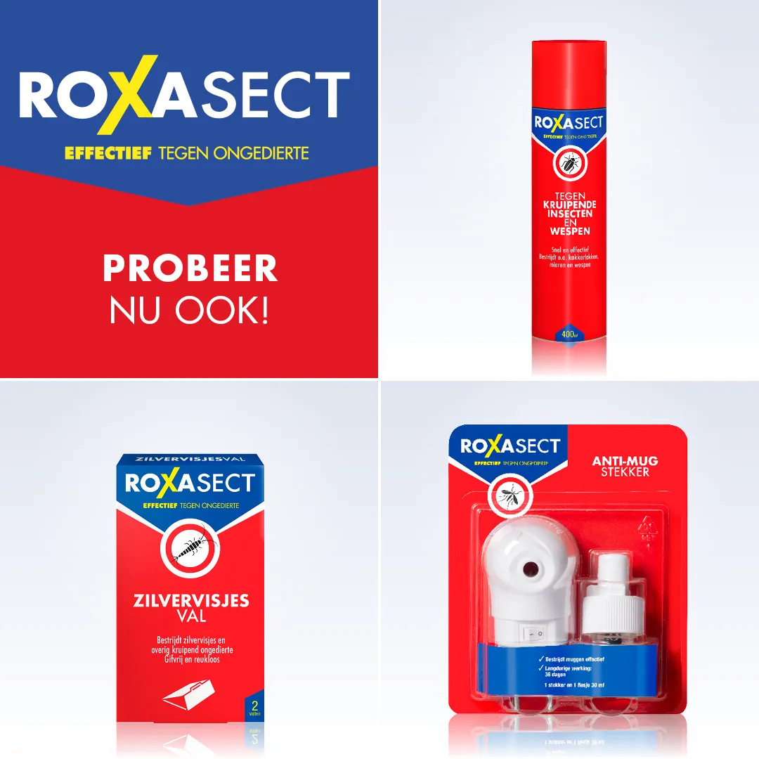 Roxasect Spuitbus vliegende insecten (400 ml) - image 5