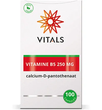 Vitals Vitamine B5 250 mg (100 capsules) - image 2