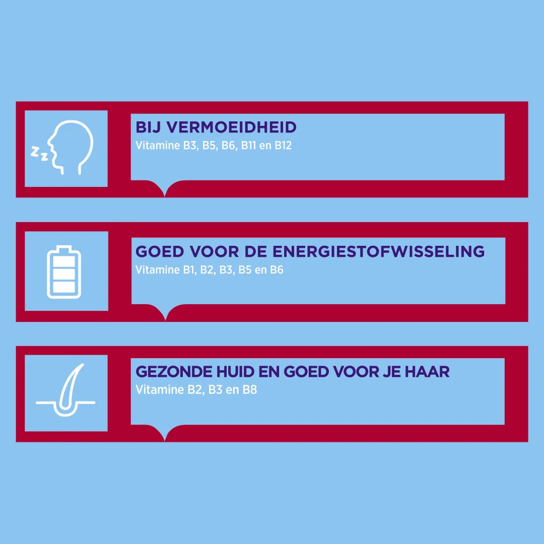 Dagravit Becoforte (100 dragees) - image 2