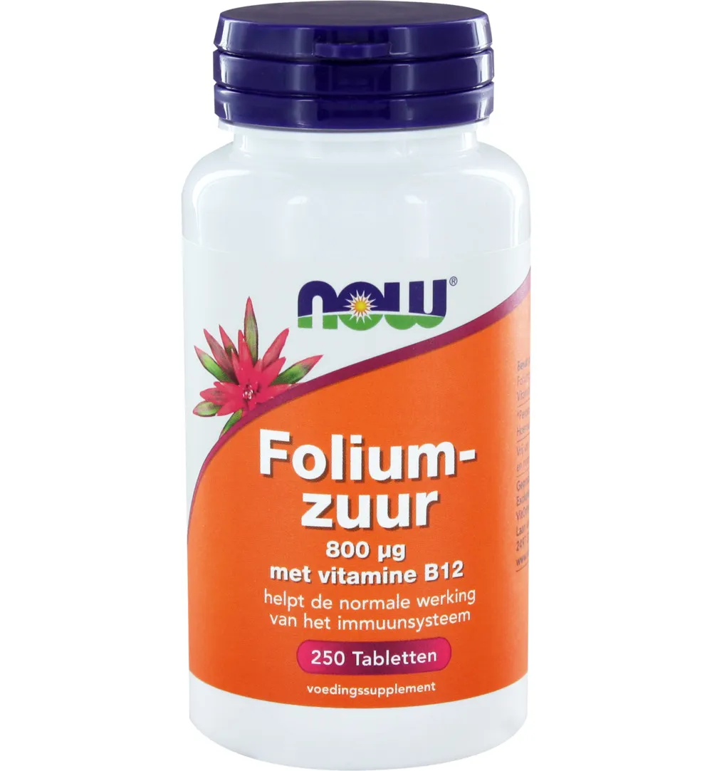 Now Foliumzuur 800 mcg (250 tabletten)