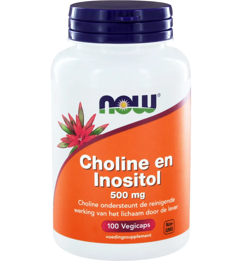 Now Choline en inositol 500 mg (100 vega capsules)