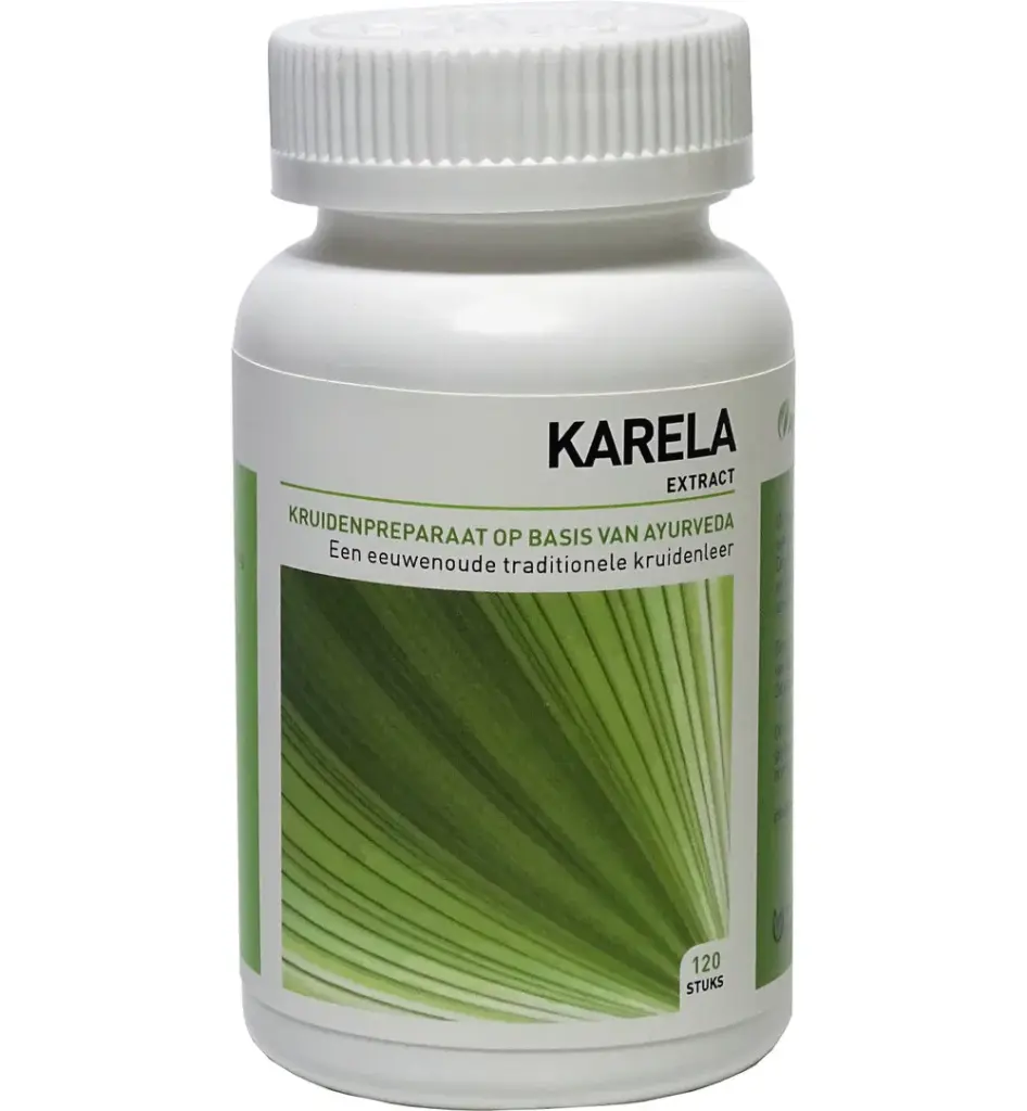 Ayurveda Health Karela momordica (120 tabletten)