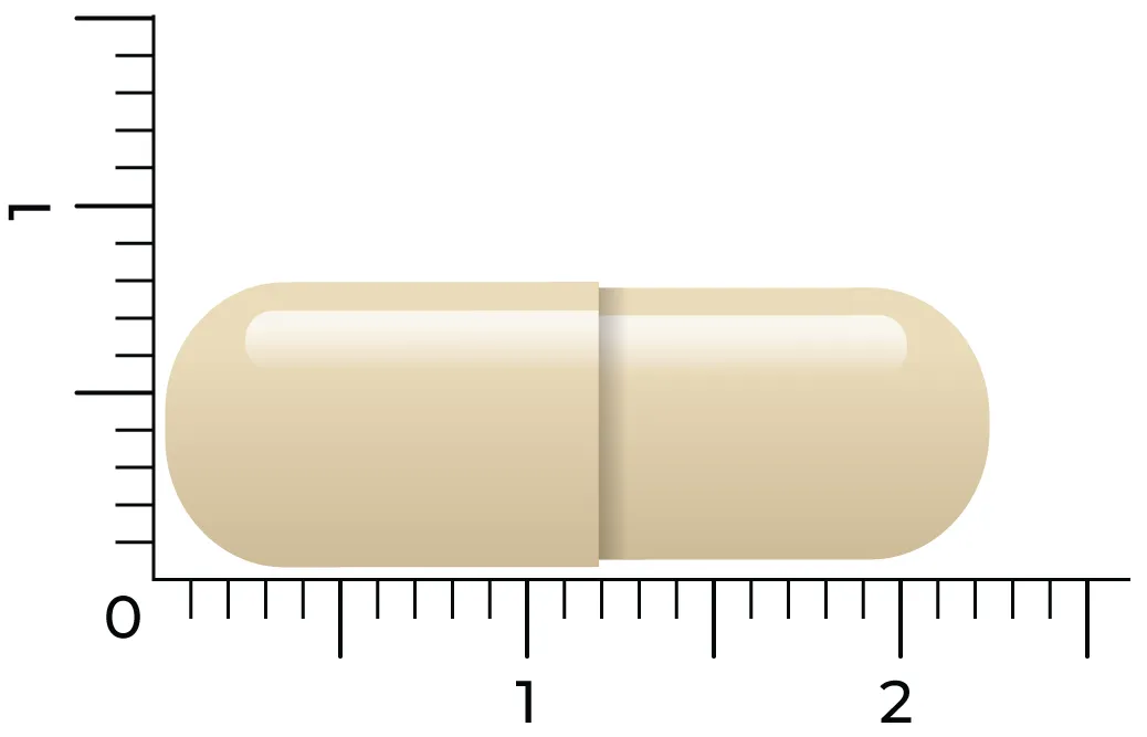 Vitakruid Gebufferde Vitamine C Met Oa Zink Opc Quercetine (vega capsules) - image 4