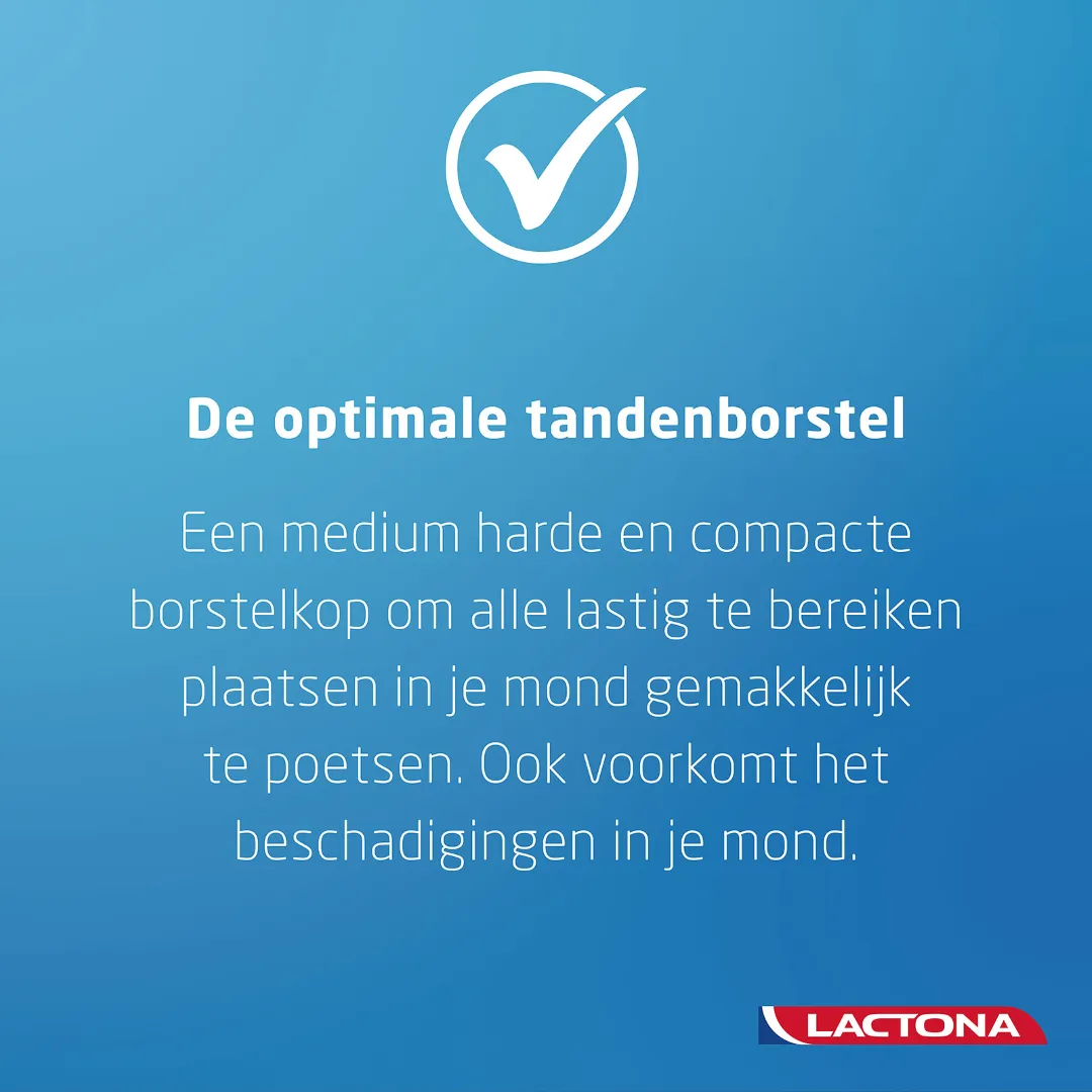 Lactona Tandenborstel IQ+ medium (1 stuk)