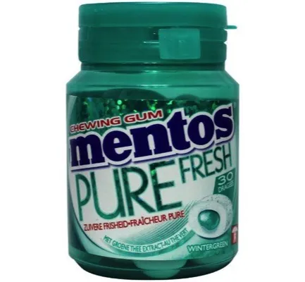 Mentos Gum pure wintergreen pot (30 stuks)
