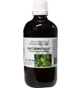 De Cruydhof Hypericum perforatum / sint janskruid tinctuur (100 ml)