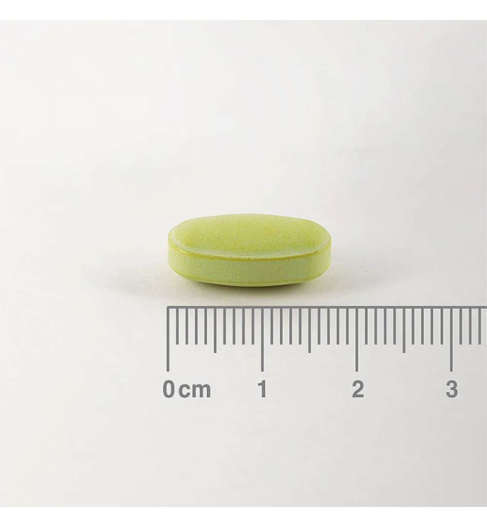 Lamberts Kaneel 2500Mg (60 tabletten) - image 2