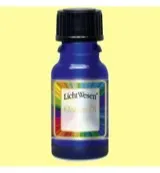 Lichtwesen Elohim olie zilver 65 (10 ml)