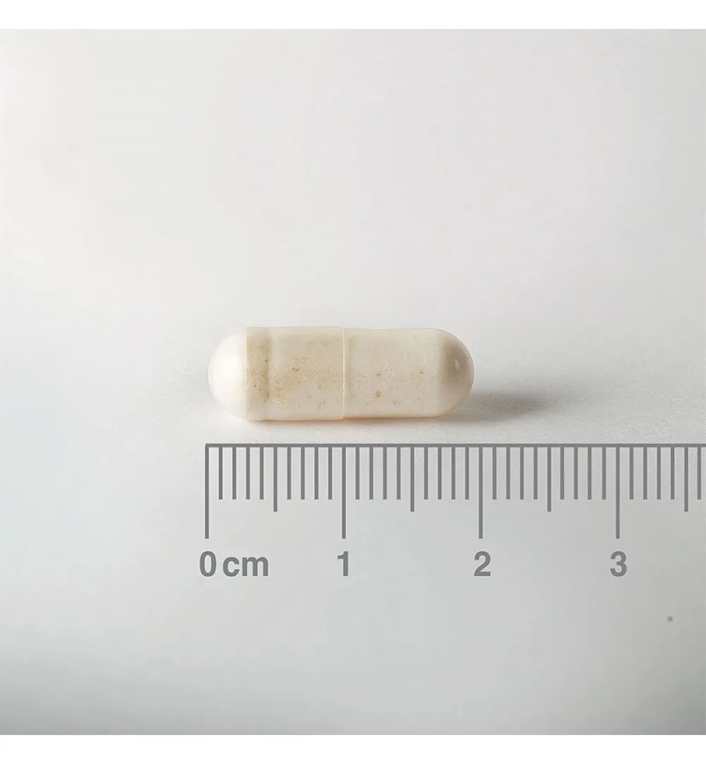 Lamberts Acidophilus Extra 10 (30 vega capsules) - image 2