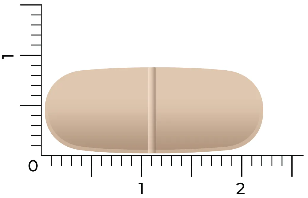 Vitakruid Multi Dag HD (90 tabletten) - image 4