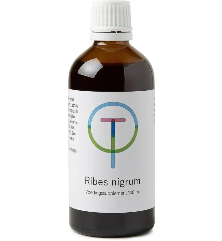 Tw Ribes nigummiesm zwarte bes (100 ml)