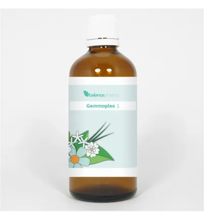 Balance Pharma Hgp 001 Gemmoplex Nieren (100 ml)