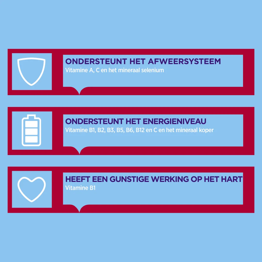 Dagravit Totaal 30 Multivitaminen (500 dragees) - image 2