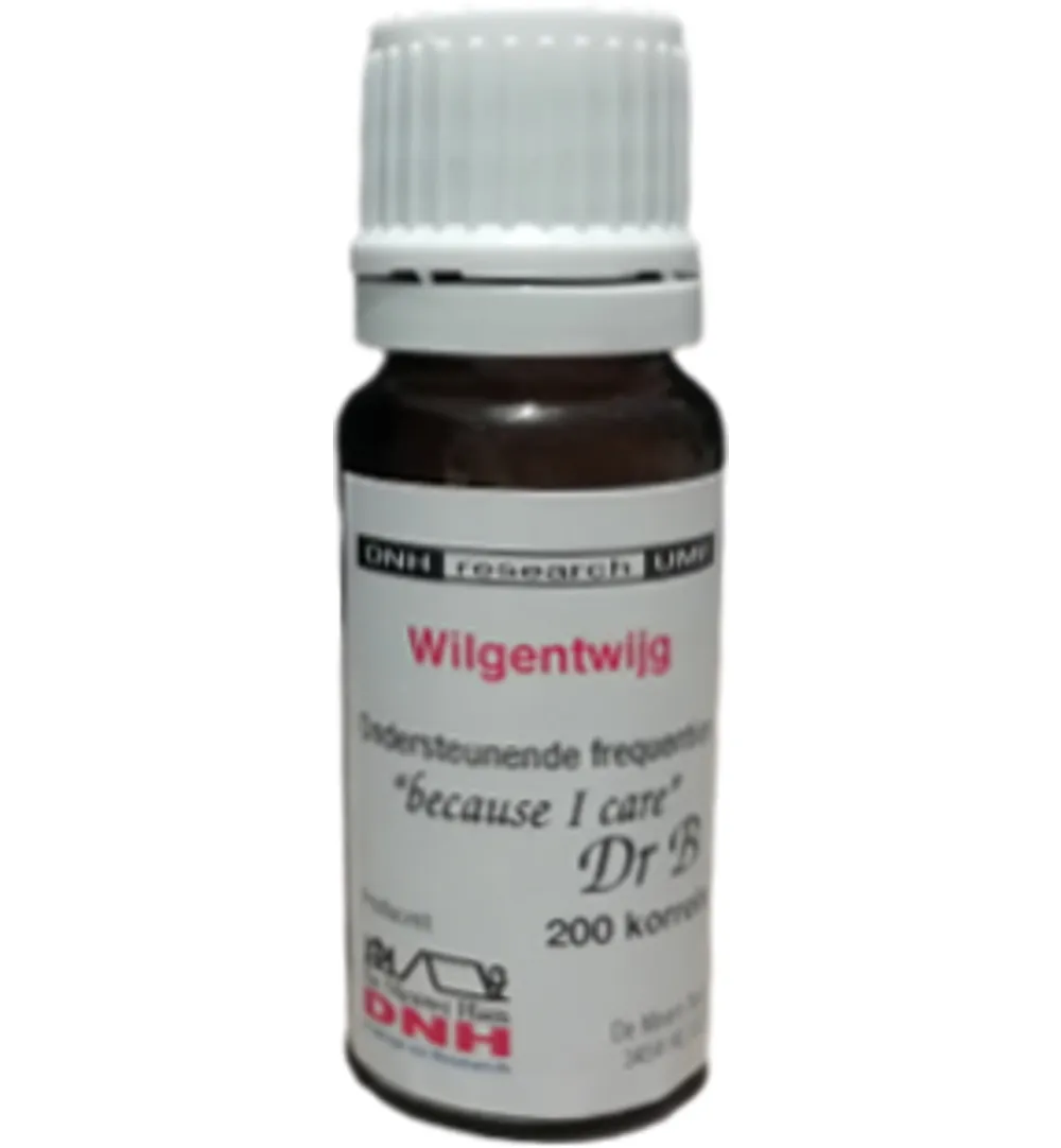 Dnh Wilgentwijg (200 stuks)