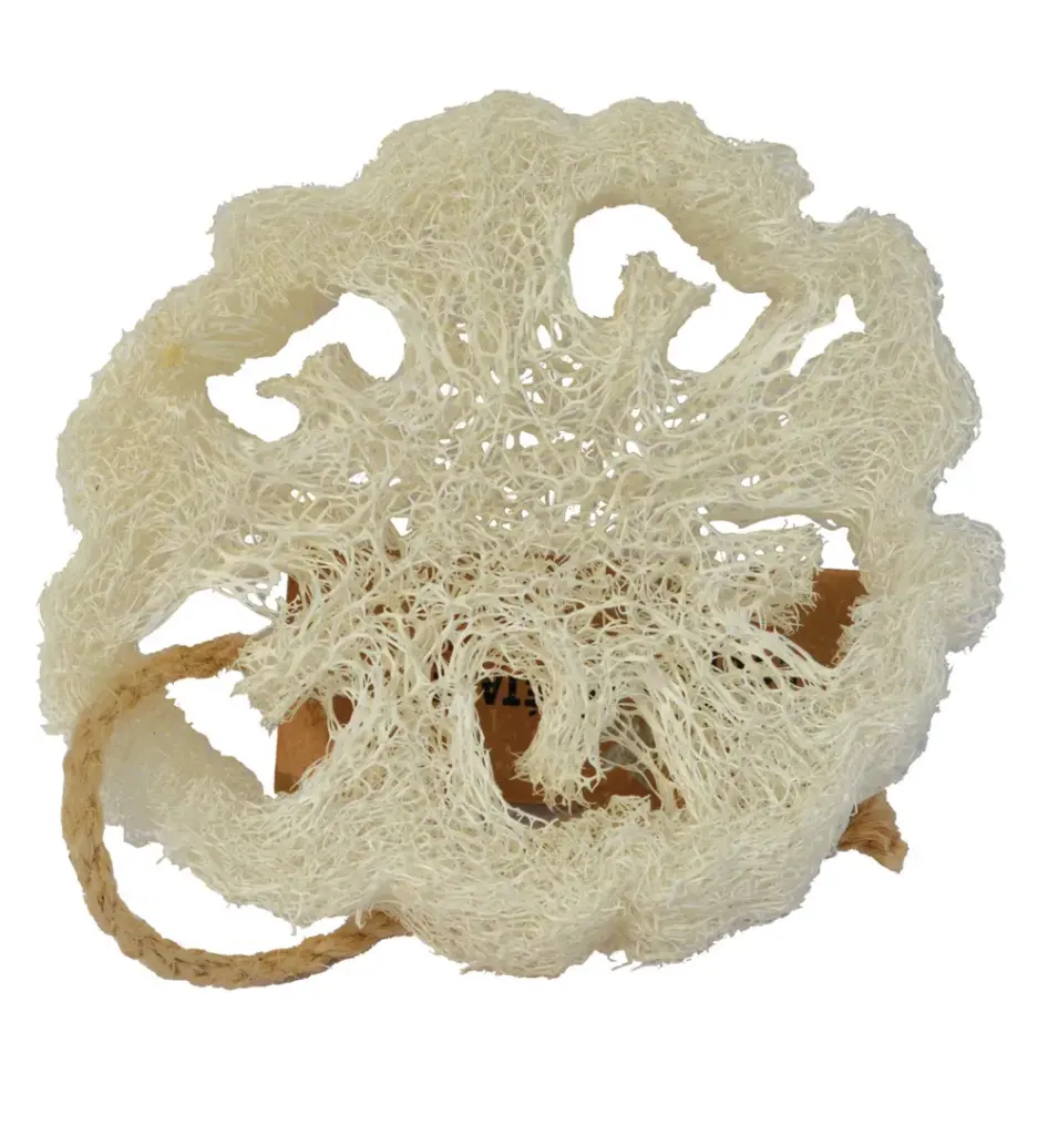 Aleppo Soap Co Loofah Natuurspons Plak (1 stuk)